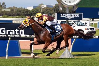 Tavago (NZ) Shows Star Quality in Sky High Stakes. Photo: Equine Images.